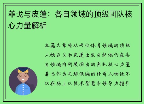 菲戈与皮蓬：各自领域的顶级团队核心力量解析